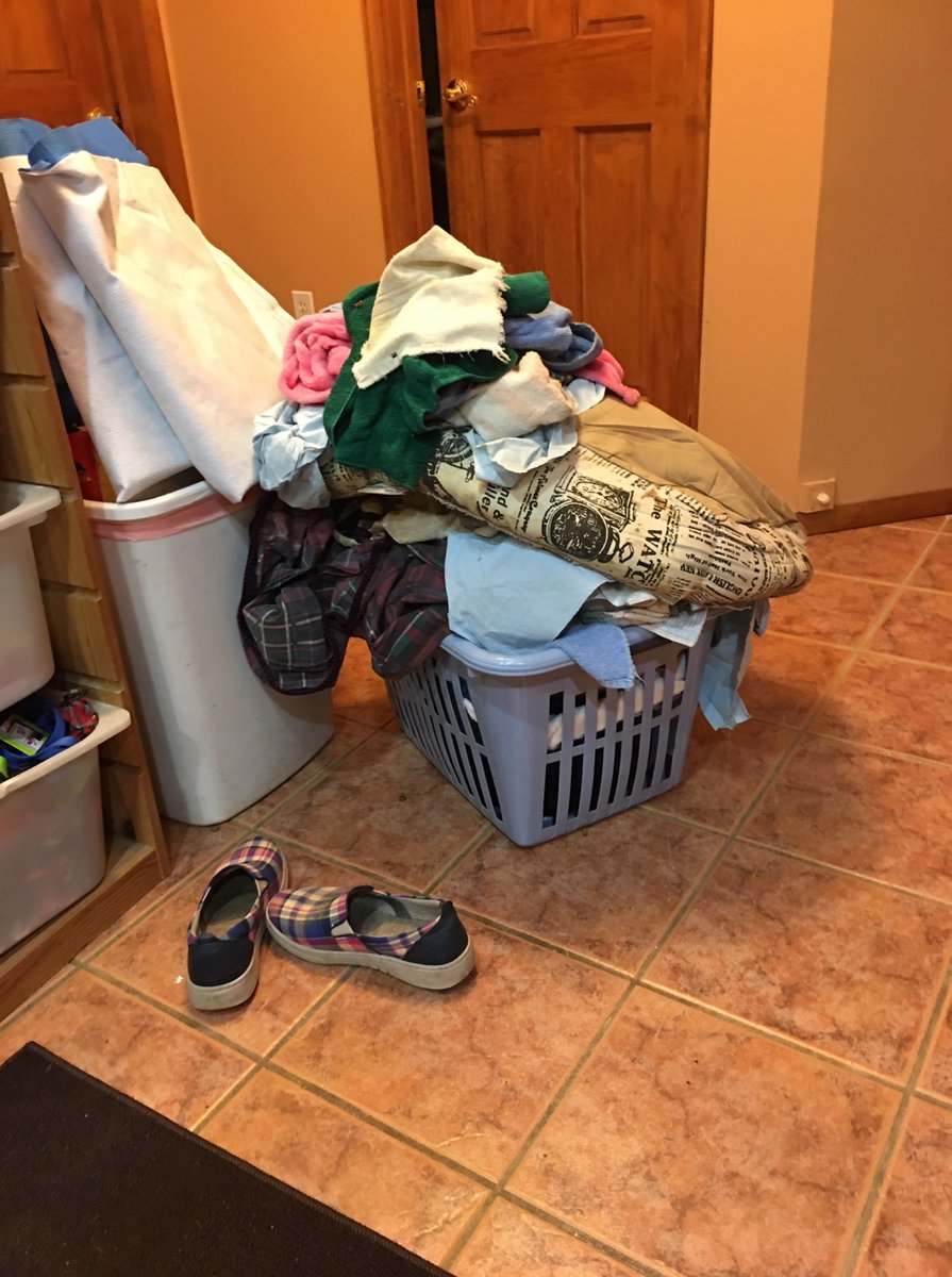 CaraAchterberg's tweet photo. Ever wondered what it would be like to foster a litter of #rescuepuppies? Here's the (poop) scoop! #fosteringsaveslives #optoadopt @OperationPawsforHomes https://t.co/4ANdN1mZLe https://t.co/o6vOLLs9Zn