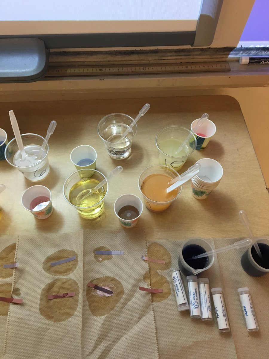 masseyhillclass's tweet photo. Ms. Braden, one of our science teachers , had an acid base lab set up last night for future students to experiment with! @CumberlandCoSch @CCSChoice1 https://t.co/7Ep1gMrKvz