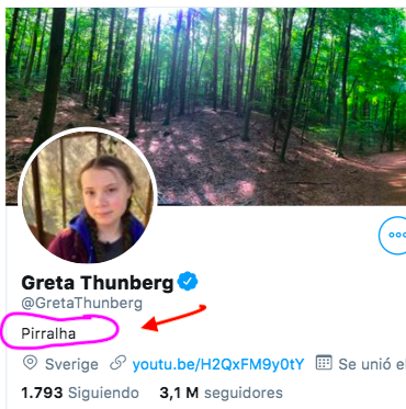 CatalinaBe_'s tweet image. Hoy en la mañana, Bolsonaro con la falta de educación que lo caracteriza llamo a Greta Thunberg de "pirralha" [mocosa, insolente, malcriada].
Ella, desde lo alto de su inteligencia y educación, puso en su biografia la palabra. 
¡¡Grande Greta!!