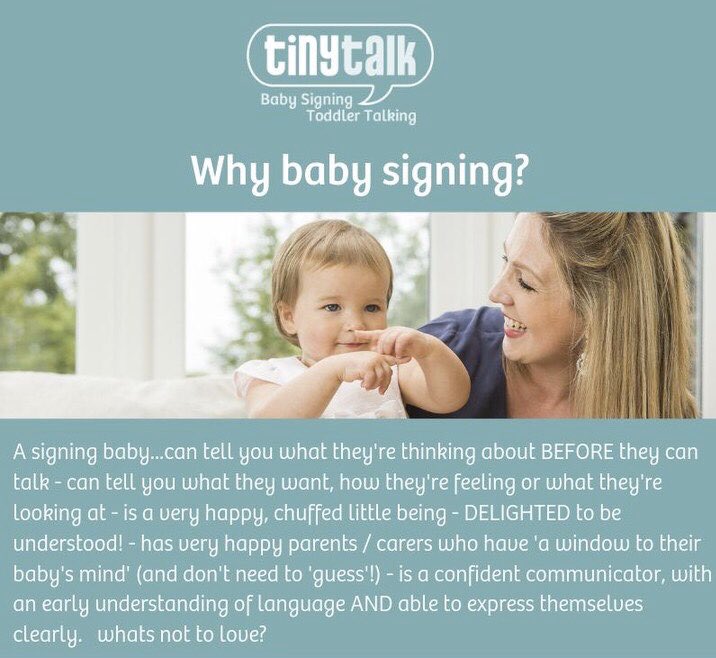 tinytalkMM's tweet image. Spring Term is open for booking! #tinytalk #babysigning #happybabies