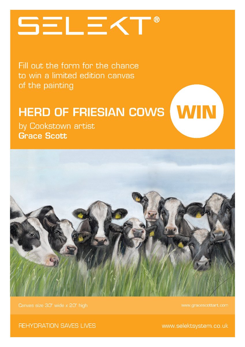SelektSystem's tweet photo. Not long to go! The Royal Ulster Winter Fair is on Thurs 12th Dec. Come and talk to us - stand L 51 A. You will also have a chance to win a fabulous canvas print by Cookstown artist Grace Scott. See you there! #selektsystem @gracescottpastelart @RUASWinterFair @SelektSystem https://t.co/XexjcC5smm