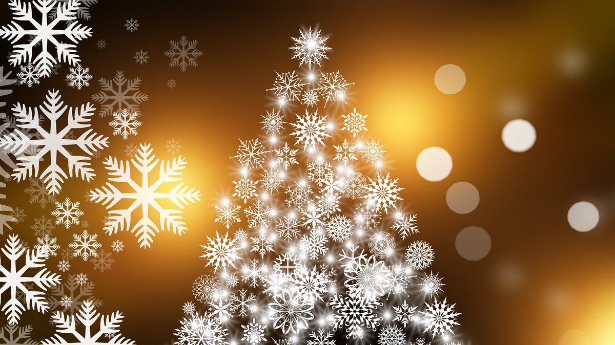 ccculibrary's tweet photo. Planning on studying in the Library during the holidays? 
Perhaps you're taking some books back home? 
Here's everything you need to know 
➡️ https://t.co/pEYtHcAYwh
#ChristmasCCCU @CCCUStudents https://t.co/MjzR2blIMR