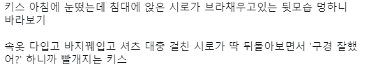 코메트💫comet💫 tweet media