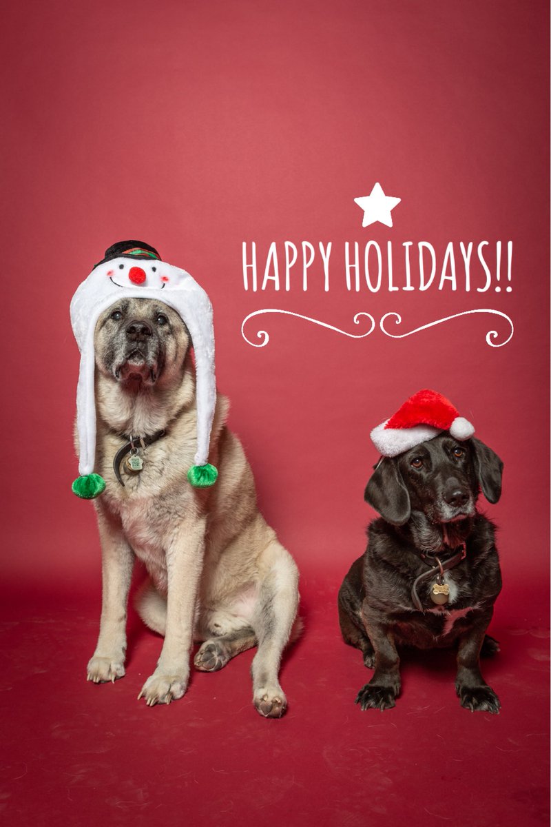 And just like that, our holiday market wraps up for the season! 2019 has been a heck of a ride at our new location and we are so grateful to all our supporters and vendors in making our markets a blast every time! We hope you all have a warm and safe holiday season!! 🎄🐾🎁🎅🏽🤶🏼✨