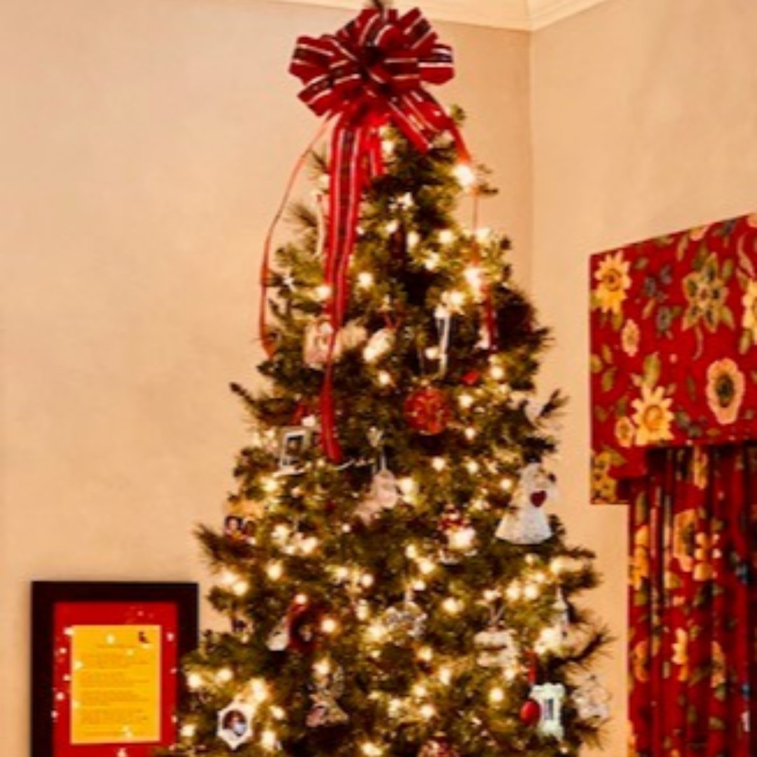 You are invited to come by the KinderMourn house anytime during the holiday season to add a special ornament in remembrance of your child, to once again see your child's ornament, and share in KinderMourn fellowship.