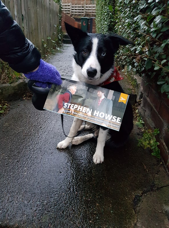 hexham_libdems's tweet photo. We’ve said it before and we’ll say it again: no amount of weather is going to stop this crew! 🇪🇺🔸🐕
#Howse4Hexham #VoteLibDem #ColliesWithoutBorders https://t.co/E1LvQO1gJy