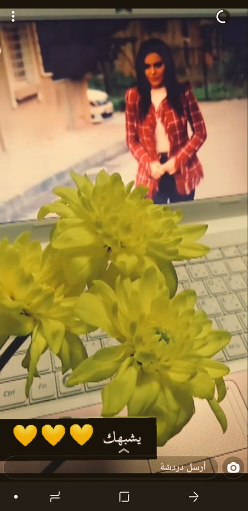 فنو.
يافديت الي تروقني ايام الاختبارات بالورد الي احبه❤