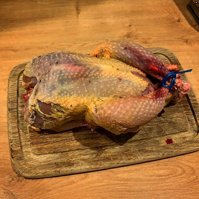 FoodFilthy's tweet photo. Not bad for my first attempt. 3 more to go! #pheasant #game #plucking #poultry #filthyfuckingfood https://t.co/8y3cvasRdw https://t.co/dXV2hu3Bvk