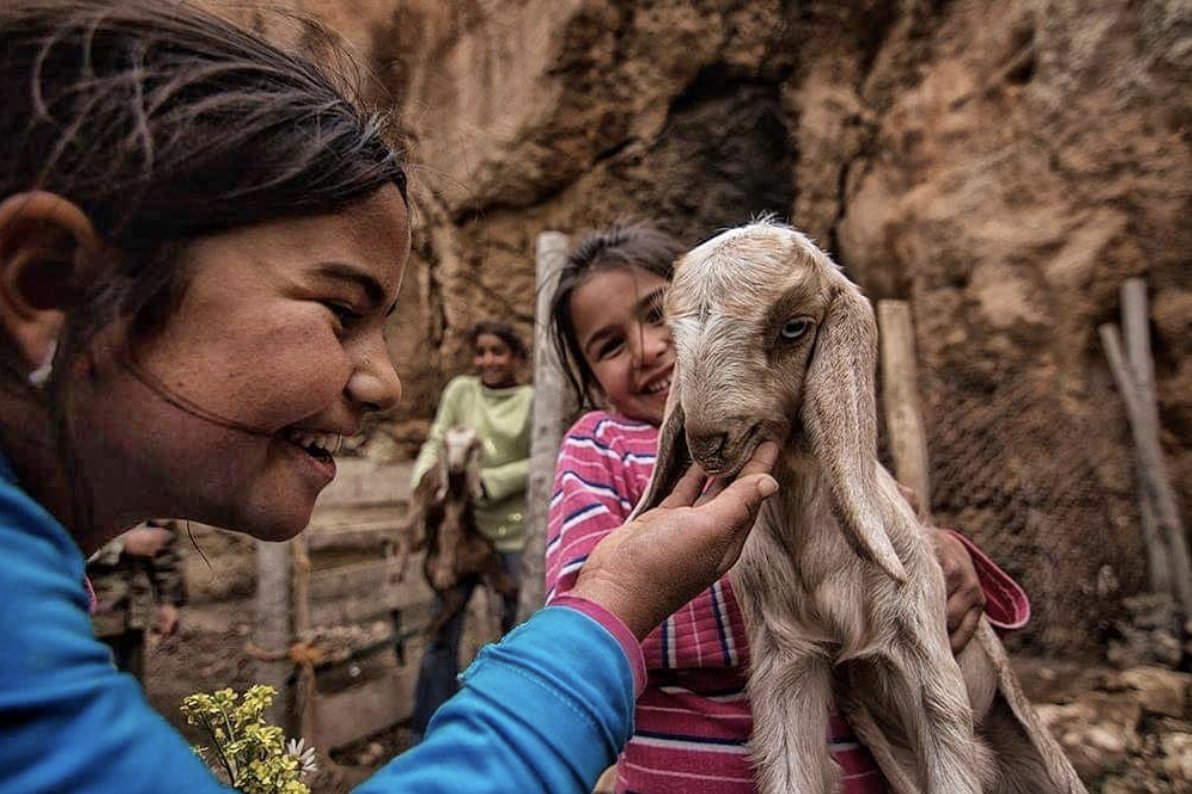 Mutluluk Konulu, LGQ60 Ödüllü Fotoğraf Yarışması Sonuçlandı! - 66pixel.com/fotografcilik-…