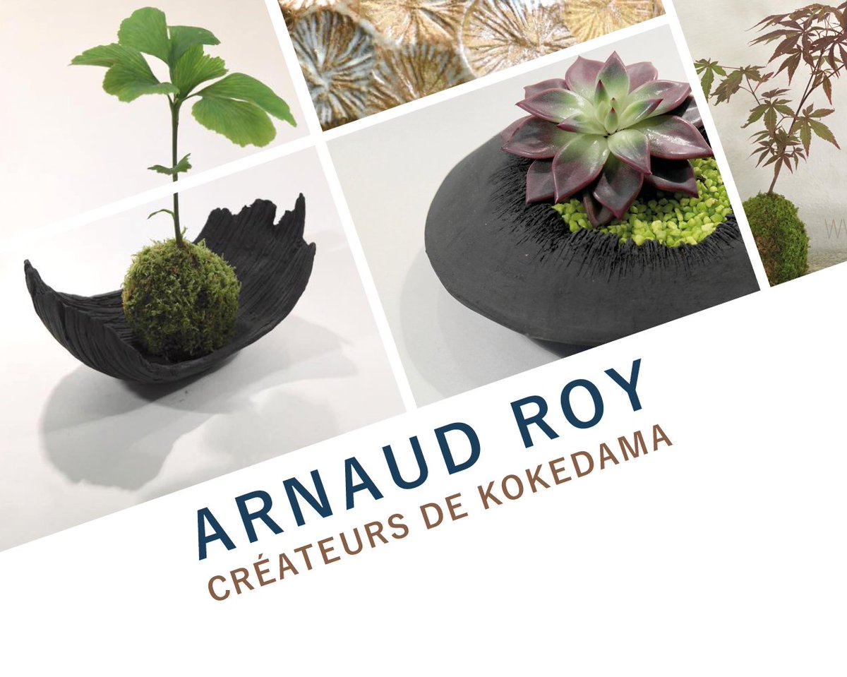JapanInstant's tweet photo. Retrouvez des kokedama à l'achat ou bien participez à des ateliers pour confectionner vous-mêmes un kokedama ! https://t.co/Y6dRhLKNR2
