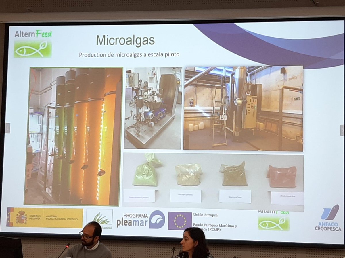 AnfacoCytma's tweet image. Estamos en Cádiz presentando los resultados de nuestros proyectos del #programaPleamar con @FBiodiversidad @alternfeed