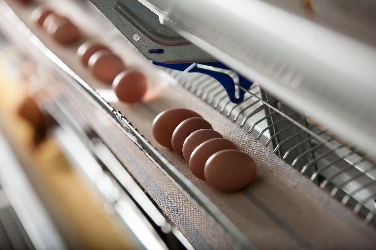 AGCO &amp; Clark Ag Systems are excited to announce that Farmer Automatic will be fully merging with TECNO throughout 2020. Click below to read more:  clarkagsystems.com/article/farmer…