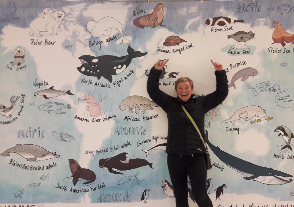 vincent_biard's tweet photo. Congratulations to Mervi Kunnasranta @SaimaasealUEF for her fantastic talk about the #conservation of Saimaa ringed seal #saimaaseal! No more excuses to not know about our furry little fellow #wmmc19! https://t.co/MpmKSzMEf1