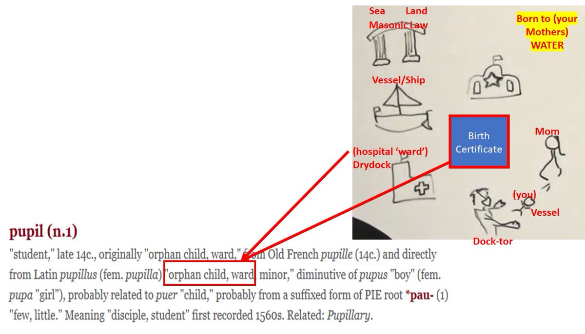 Pupil=Ward, Orphan Child,When you sign a birth certificate you are signing over your child as a ward to the state. Essentially making them an orphan. @AnJillOfLight
