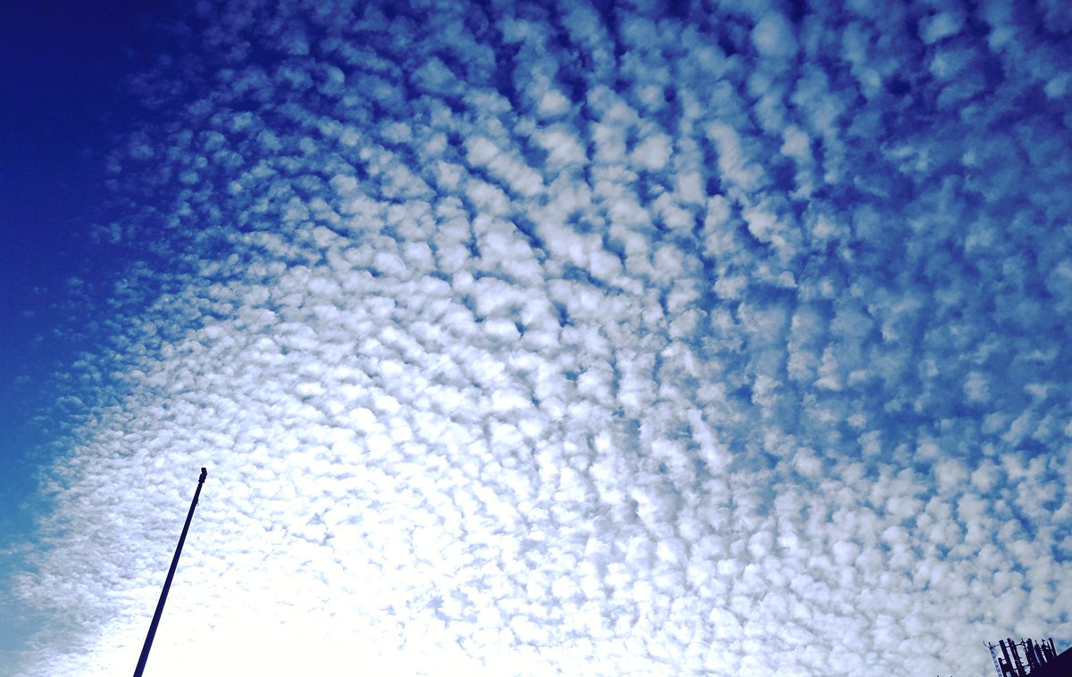 s_msonia's tweet photo. 📷 Mi trozo de Cielo
▪By Sonia
#Compartetuatardecer
#Cielo #Sky
#photography #BySonia
#Feliztarde
#FelizMartesATodos
#BuenasTardes
#Sky #Cielo #Madrid
#España #Spain https://t.co/rtIGdBab6h