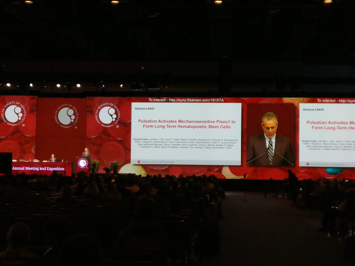 Thank you very much #ASH2019  <a href="/ASH_hematology/">ASH</a>  for selecting our abstract for the Best of ASH session. Grateful to be supported by dedicated and brilliant trainees, collaborators, mentors, and funders <a href="/nationwidekids/">Nationwide Children's Hospital</a> @nih_nhlbi <a href="/StBaldricks/">St. Baldrick's Foundation</a> <a href="/osuresearch/">Ohio State News – Research</a> <a href="/leonard_zon/">Dr. Len Zon</a> <a href="/G_Q_Daley/">George Q Daley</a>