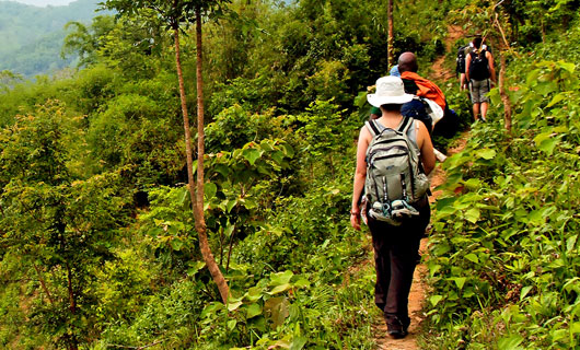 GenStudyAbroad tweet media