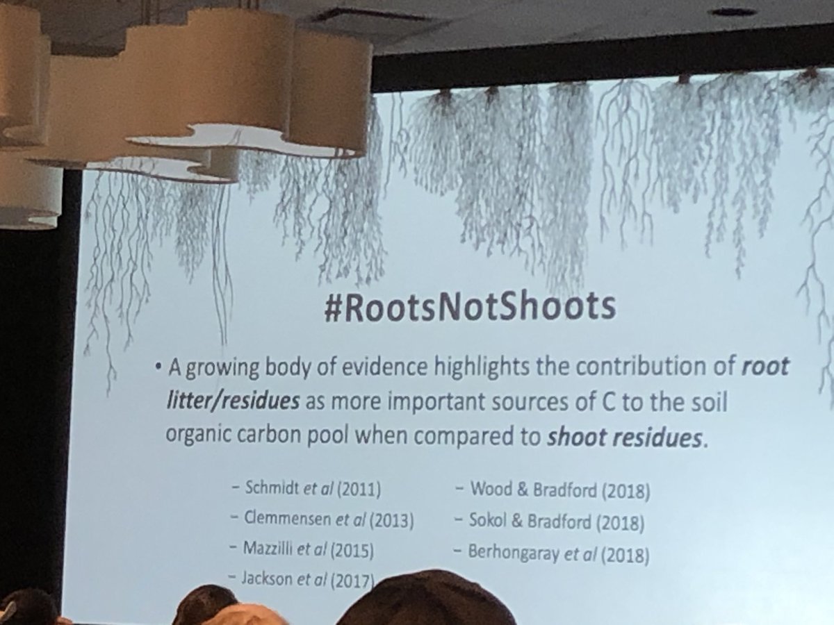 Joel Williams is a real teacher. #Absoilgrazing19