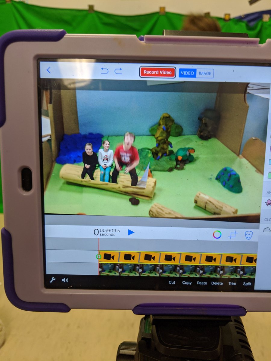 mmecarroll45's tweet photo. Green screen progress! @RoyalRoadElem @jeffwhipple https://t.co/GPdZch7CAv