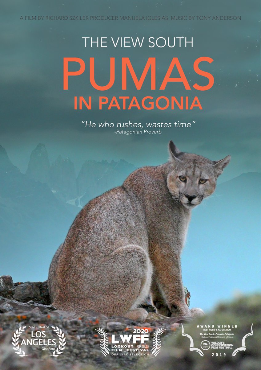 TheViewSouth's tweet photo. #pumasinpatagonia nominated for @LookoutFilmFest  in Jan 16-19, 2020 in Chattanooga, Tennessee https://t.co/LSL0zNnY9H