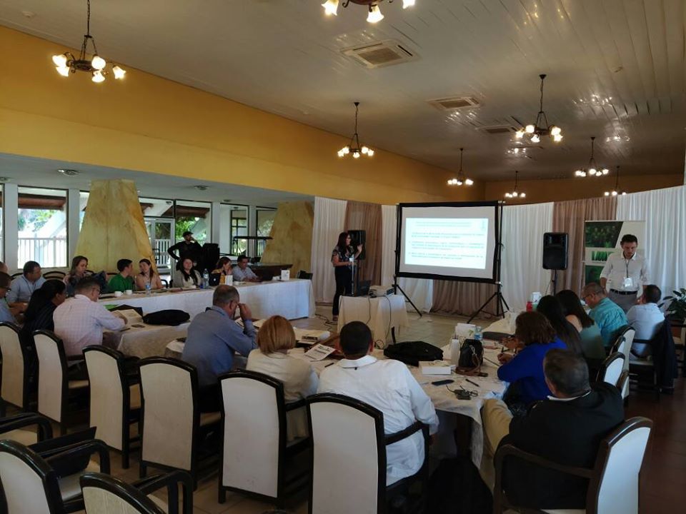 Se desarrolló un taller con el grupo motor del Proyecto IMPALA en la Universidad de Holguín. La UNAH presentó el análisis de las dimensiones que formarán parte del Marco de Evaluación de Impacto.