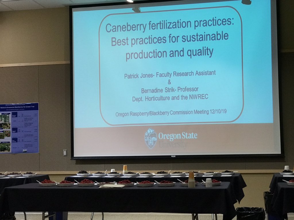 Presented our research on red and black raspberry fertilizer and nutrient testing programs here at the Oregon Raspberry &amp; Blackberry Annual Growers Meeting. Tag team talk with my Faculty Research Assistant, Pat Jones 👍🏻<a href="/oregonberries/">Oregon Berries</a> <a href="/OregonStateExt/">Oregon State Extension Service</a> @CASResearch_OSU