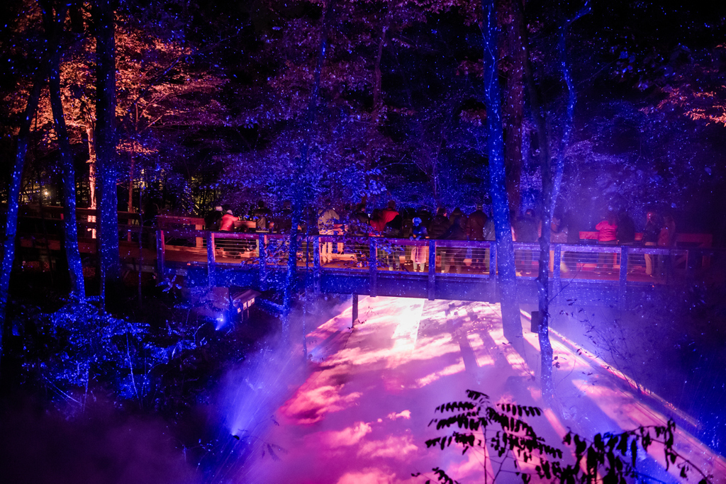 crystalbridges's tweet photo. How do you make the soul of nature visible? How do you make it audible? These are just a couple questions @momentfactory considered as they designed the light and sound installations for #NorthForestLights at Crystal Bridges. Read more from @nwademgaz 👉 https://t.co/ub3Xm1WQLv https://t.co/ld16NftfU8