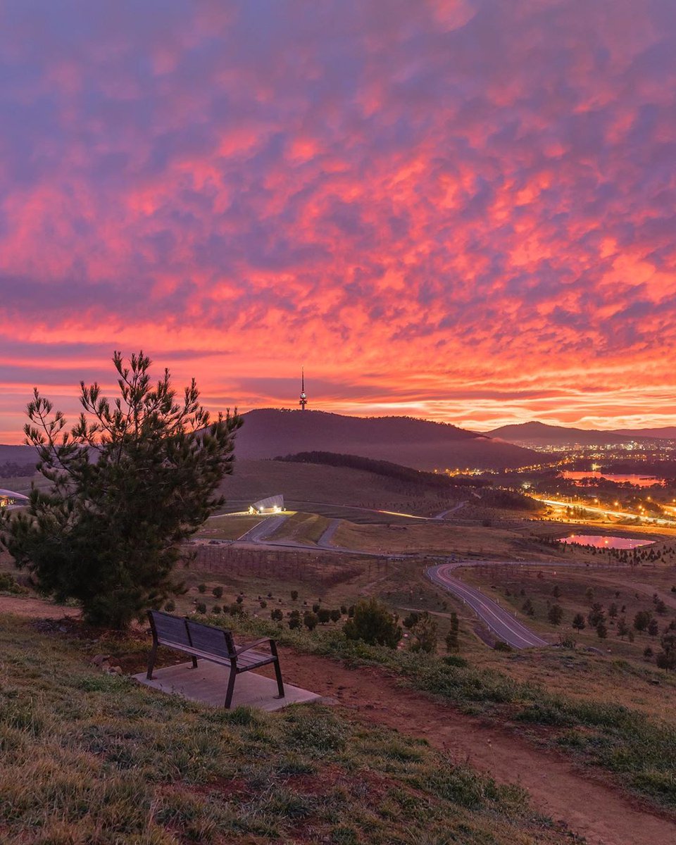 Australia's tweet photo. When you’ve found the best seat in the house. 👌🏻

(#Sunrise via IG/dean.ohlmus at #NationalArboretumCanberra, @visitcanberra)

#seeaustralia #visitcanberra https://t.co/yPOBUo9aRF