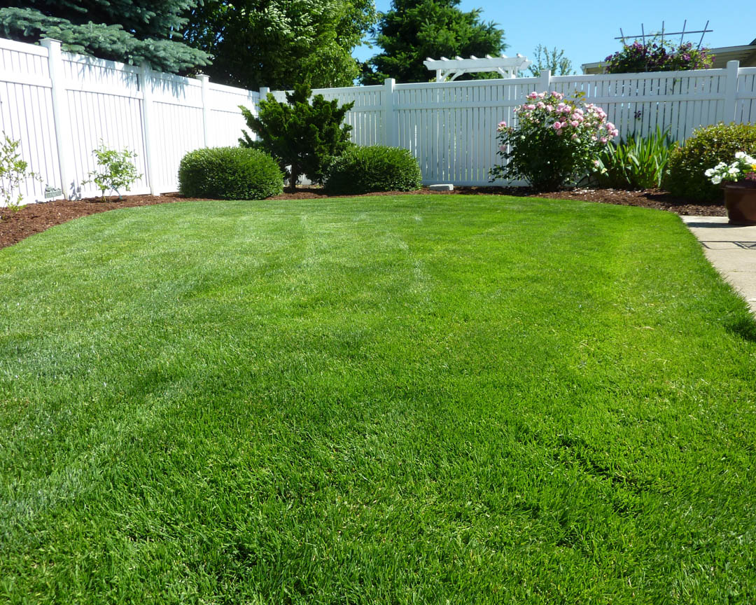 bucks_care's tweet photo. Did you know #BucksTreeCare&amp;Landscaping offers #outstanding #TreeCare services in and around Bensalem? For more information, check out our website today! Give Us A Call at # (267)621-4773 today! #FallCleanUp #TreeCutting #TreeTopping #Bensalem19020 https://t.co/WeOnppPSB6 https://t.co/F74H21H9Bw