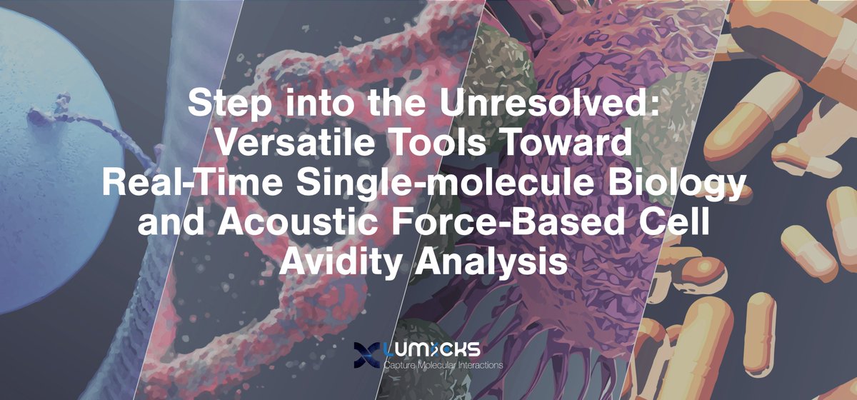 LUMICKS_nl's tweet photo. Are you interested in capturing molecular and cellular interactions? Join our Tech Talk at #ASCBEMBO19 at 3 PM in Theater 1. Hope to see you there!
#Cell #Avidity #ProteinFolding #DNABindingProteins #Filaments #MolecularMotors #ASCBEMBO2019 https://t.co/cId2ISUm7F