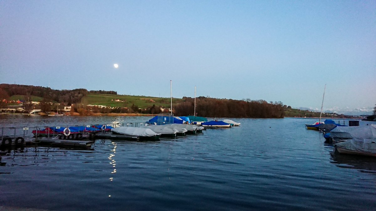 idnu_ch's tweet photo. Bald ist Vollmond 🌝
#biketowork #sempacherseebild #biketohome #sempachersee #trechter #sursee #neverstopbiking #srfaugenzeuge https://t.co/mpSXKu7UMy