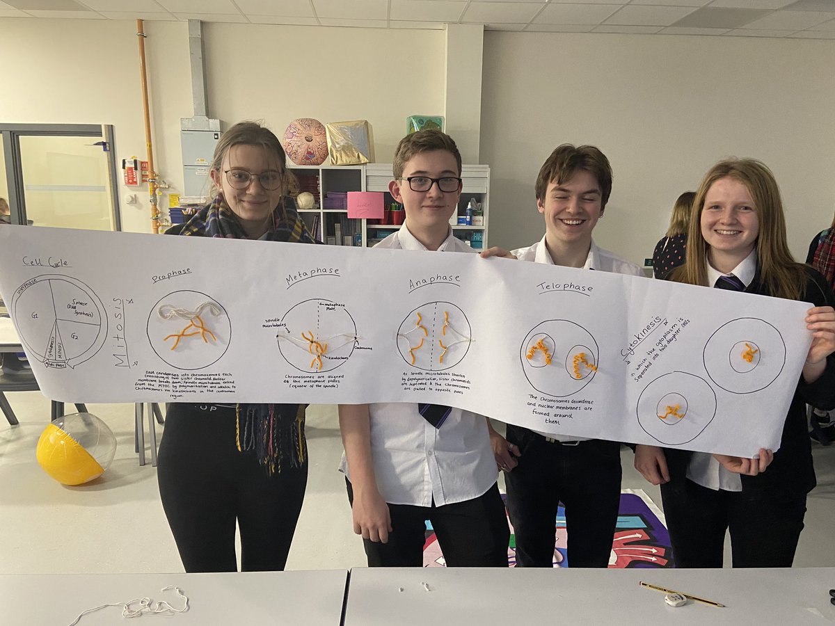 EHSBioDepart's tweet photo. Nearly there with U1- Cell Cycle today with our winning team 🤩 #teamBio #AHbio https://t.co/u5zqQQsmnM