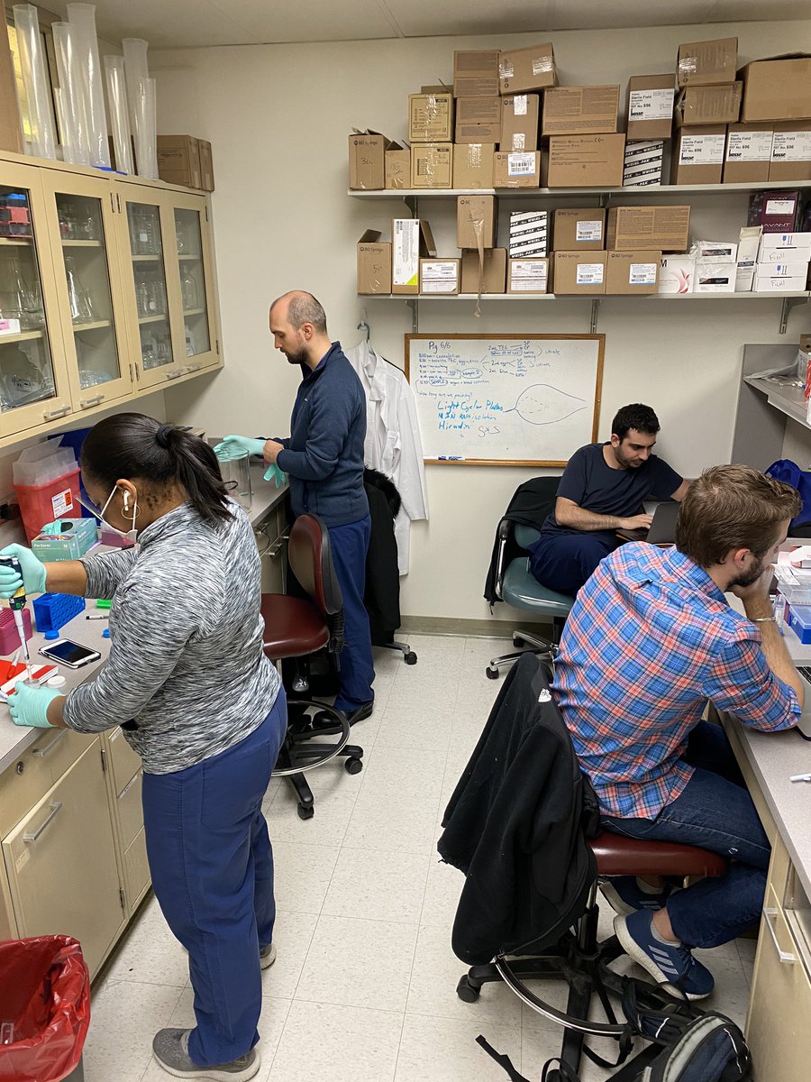 Busy Tuesday with the team 🧪 <a href="/JAlvikas/">Jurgis Alvikas</a> @erikalashelle <a href="/AdnanHassoune/">Adnan Hassoune</a> <a href="/WillPlautz/">Will Plautz</a> 📸: <a href="/shan_hald/">shannon</a>