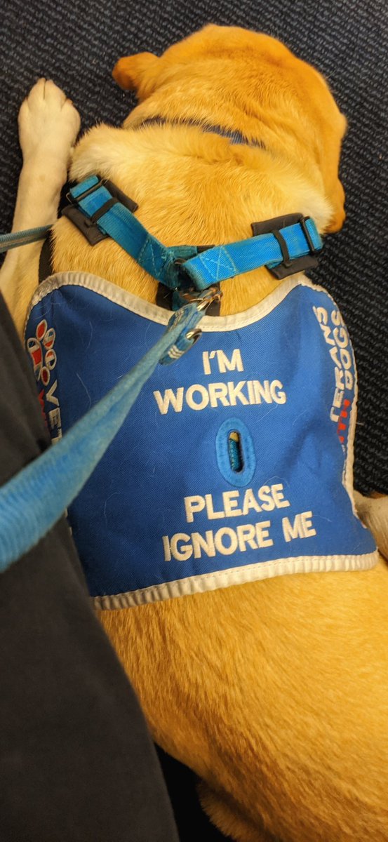 AssistanceZiggy's tweet photo. Can I just check what this says on my jacket ?

Only asking as apparently fussing me, then asking if I can be made of fuss of......... When told no leads to people looking in disgust at my #veteran ! 

#DoNotDistract #accessibility #InvisibleIllnesses #ptsd #mentalhealth https://t.co/onQTPk4QiJ