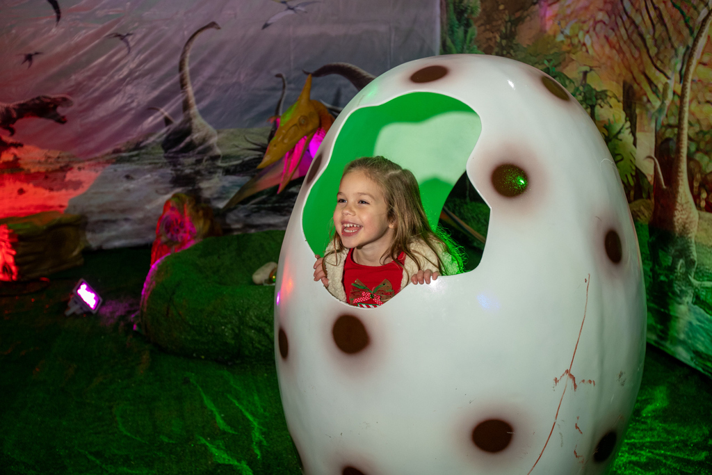 MWLHouston's tweet photo. Oh no! This egg has hatched! See what other creatures we have roaming around Magical Winter Lights. 

Buy tickets today at https://t.co/uR5dT623K9

#magicalwinterlights #ilovela_marque #5yearsofmagicalwinterlights #houstonfestival #holidaysinhouston #galvestonfestival https://t.co/csA8IgftxW