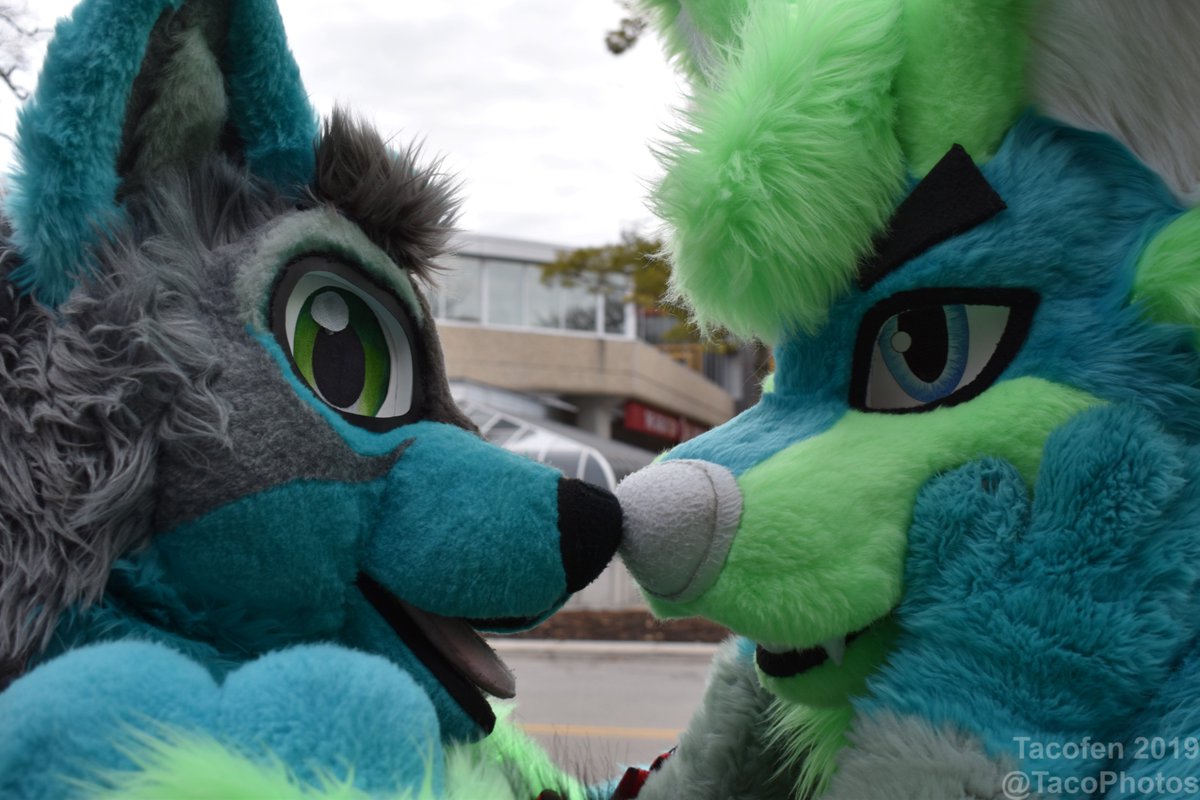 TacoPhotos's tweet photo. Booping noses at #MFF2019! https://t.co/w2Jfl33JZ6