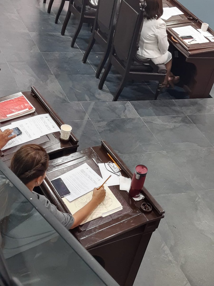 PerfilesPoli's tweet photo. La diputada practicando hacer tatto en sus tiempos libres, en plena sesión @CongresoTab @superjuanroman https://t.co/jtBoS8cUOF