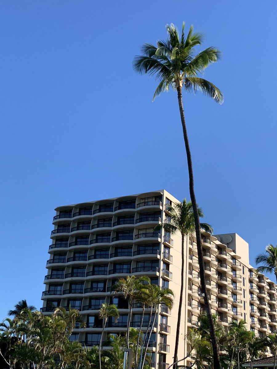 #Aloha - Day 2 in #Kaanapali with <a href="/GlobalBC/">Global BC</a> #chief #meteorologist <a href="/MMadryga/">Mark Madryga</a> and our <a href="/WestJet/">WestJet</a> #islandescapetoMaui #contest #winners <a href="/RoyalLahaina/">Royal Lahaina Resort</a>