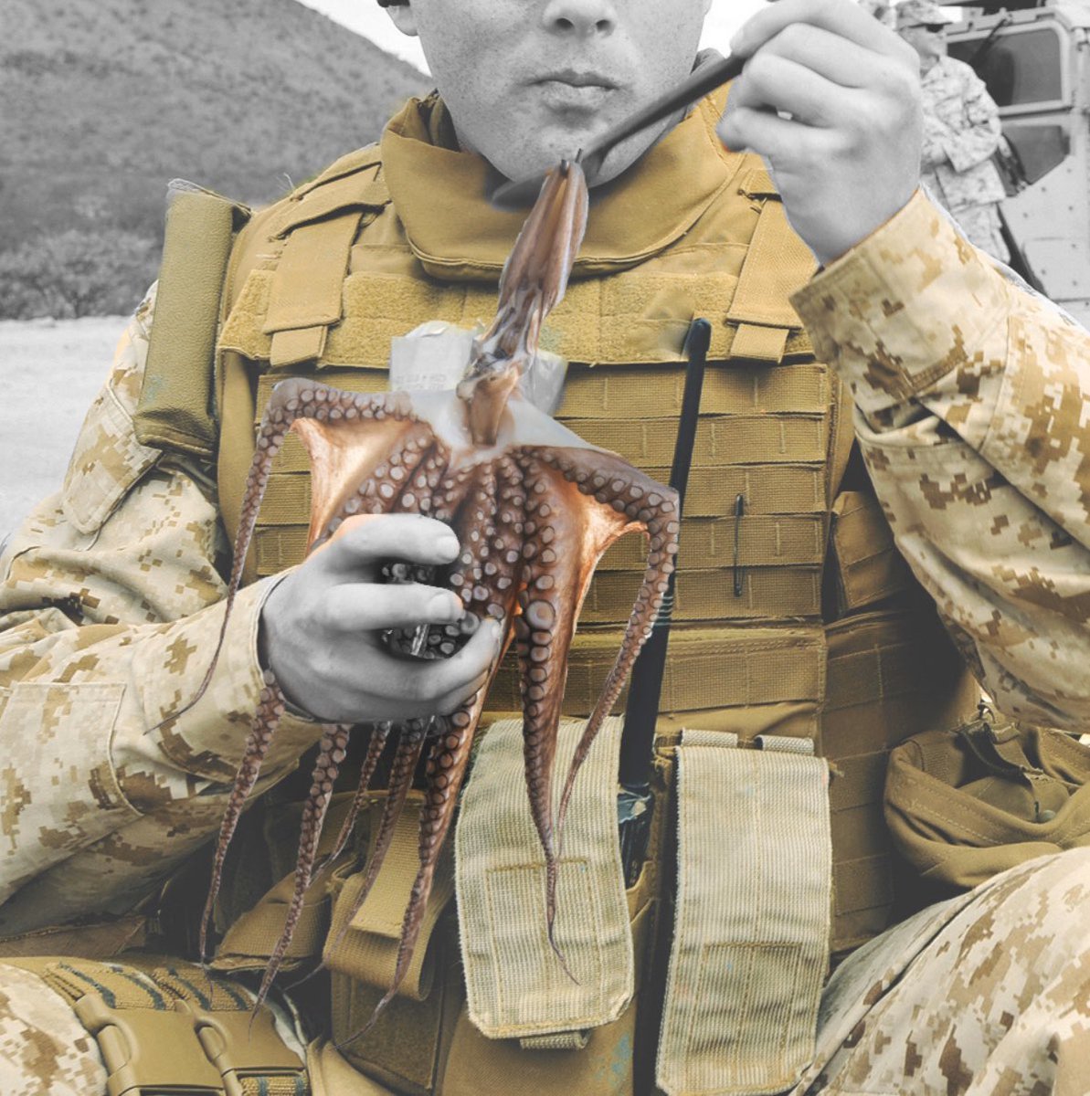 DistiNCtlyFayNC's tweet photo. @USAA @ArmyNavyGame Hereโs our prediction for the @ArmyNavyGame ๐ฆ
#GoArmy #BeatNavy #EatSquid https://t.co/4xo4e4i3V1