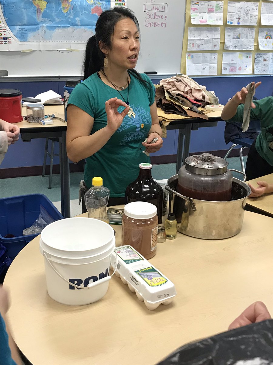 tltrieu's tweet image. This is what it looks like after the skin is scraped, rinsed, and dried. Next phase is the tanning, either with bark or oil. #learningbydoing #firstpeoplesprinciplesoflearning #transformation #ancestralskills #ancienttechnology @EgmSgriffin