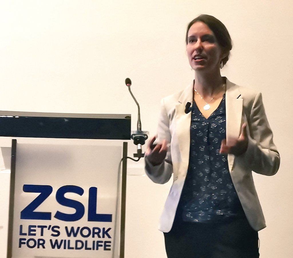 explorer_mel's tweet photo. Exellent talks this eve #zsltalks on the cutting edge #technology for tackling the illegal wildlife trade #iwt using #drones #RemoteSensing #algorithms and #socialscience. Do you think the solution is in technology or at the market end? https://t.co/ozrtwJ0yLD