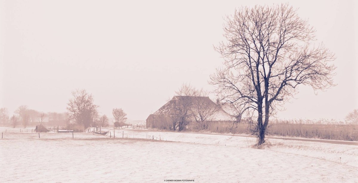 Het o zo mooie Roan'm of Roanum in het Gronings, een bewoonde wierde op het Hogeland. Deze foto vindt je ook terug in de Jaarkalender 2020 Mooigrunnen® die eind deze week te bestellen is. Info volgt nog. mooigrunnen.nl/jaarkalender-2… #mooigrunnen