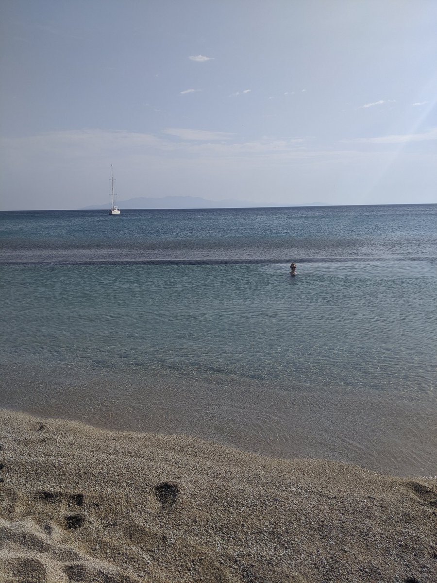 georgina🌱 tweet media