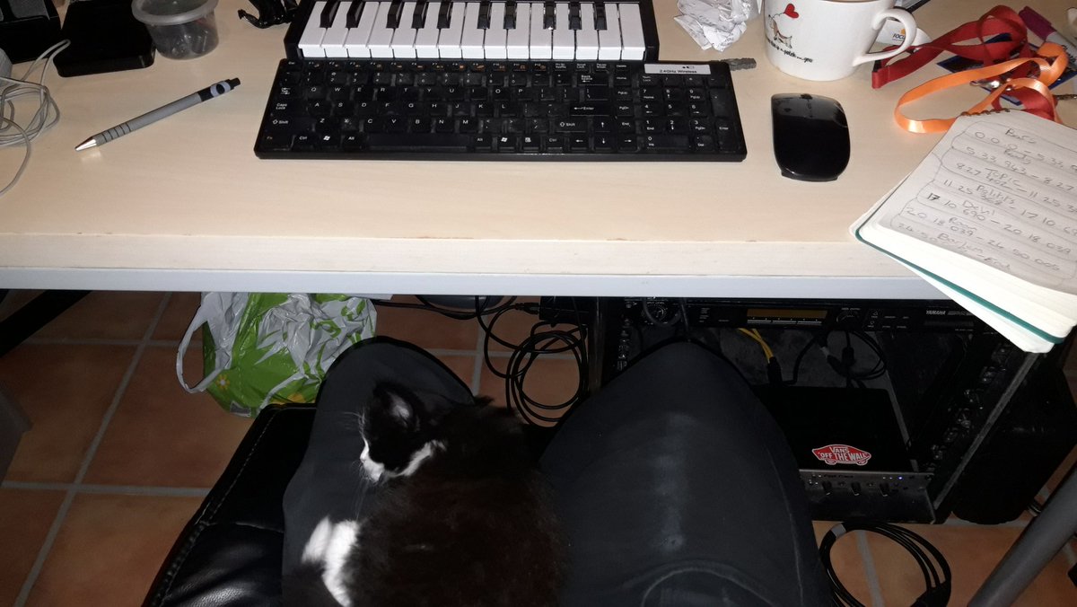 FSharpAudio's tweet image. My new assistant finds cutting up tracks tiring. #LetsPAWSforamoment