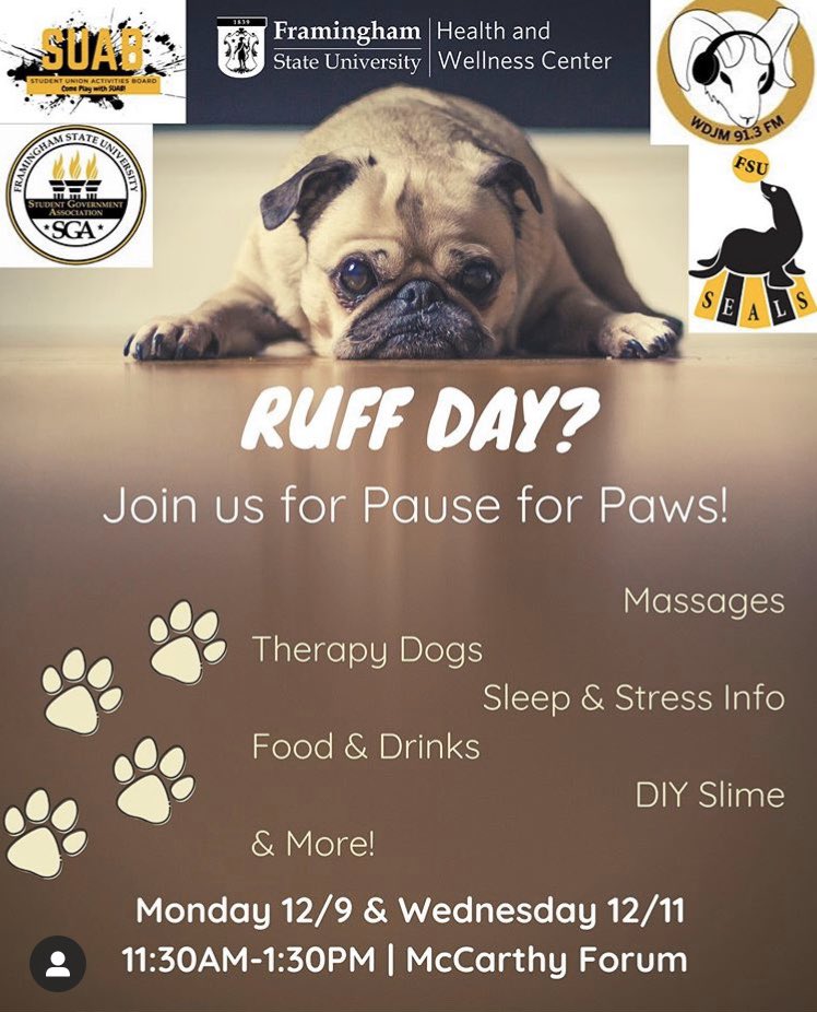 FSUStudentGov's tweet image. We will be at Pause for Paws tomorrow 11:30-1:30 in the McCarthy Center Forum! We are trying something different with DIY stress relief bags. Come support SGA, other clubs, and the SEALs tomorrow while relieving the stress of the end of the semester