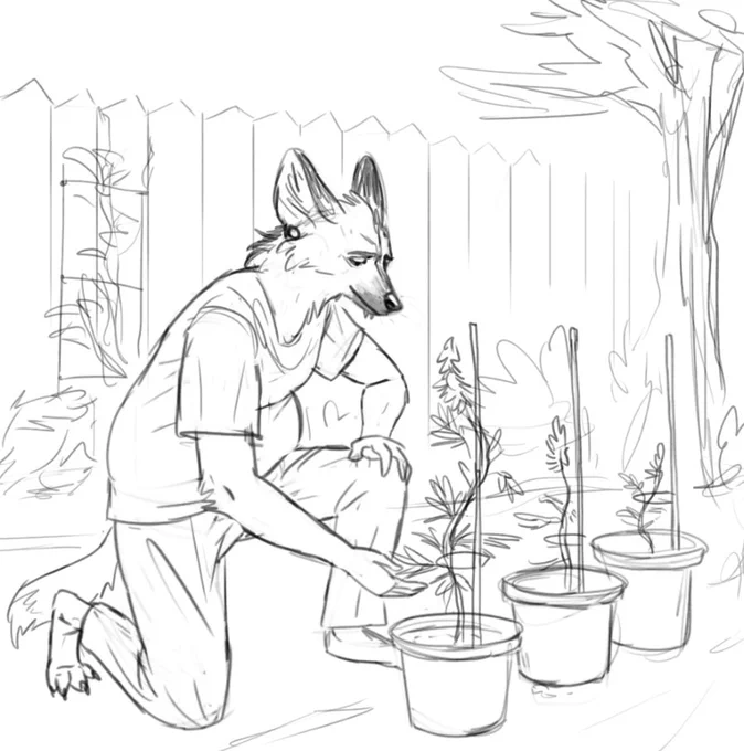 Adrian tending to his garden [Old] 