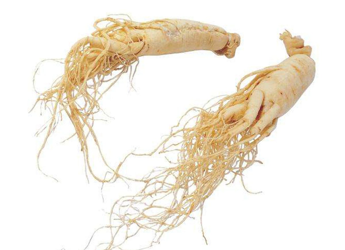 #PanaxGinseng #Mushrooms 
Panax ginseng is a perennial herb belonging to the Panax of the Araliaceae. It has been used as a Chinese Traditional Medicine for centuries. It mainly used for whitening/anti-spot, anti-aging, antioxidant,etc.

bit.ly/2XMkpMx