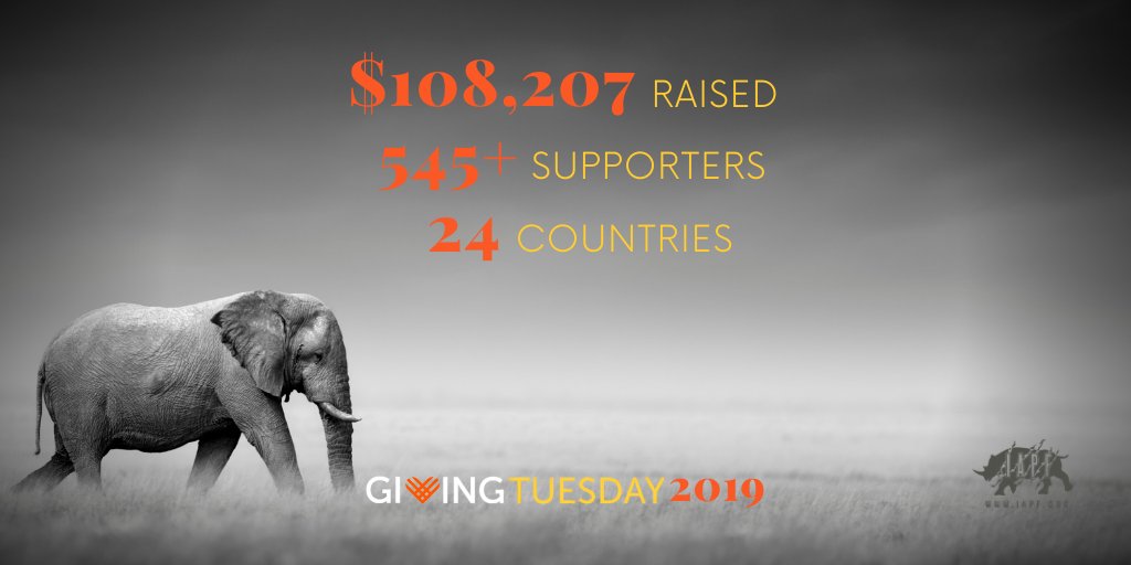 We did it! I am very grateful to the 545+ #wildlife protectors around the world who donated in honor of #GivingTuesday. From the bottom of my heart, thank you to everyone who donated. Together, we are protecting Mother Nature and all of her creatures.