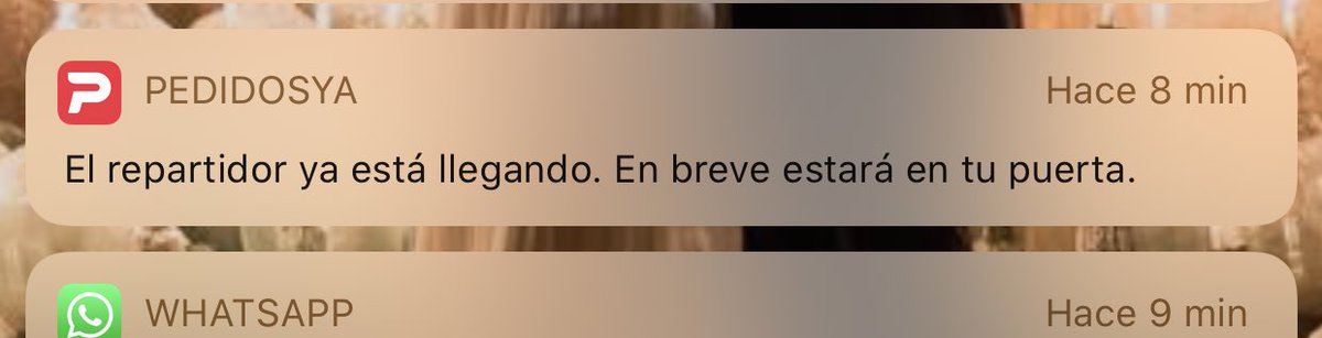 diazcecilia's tweet photo. @pedidosya me miente que el cadete está llegando y 1 hora después me avisan que no va a llegar. 💀 https://t.co/x5UZ6ICJ3x