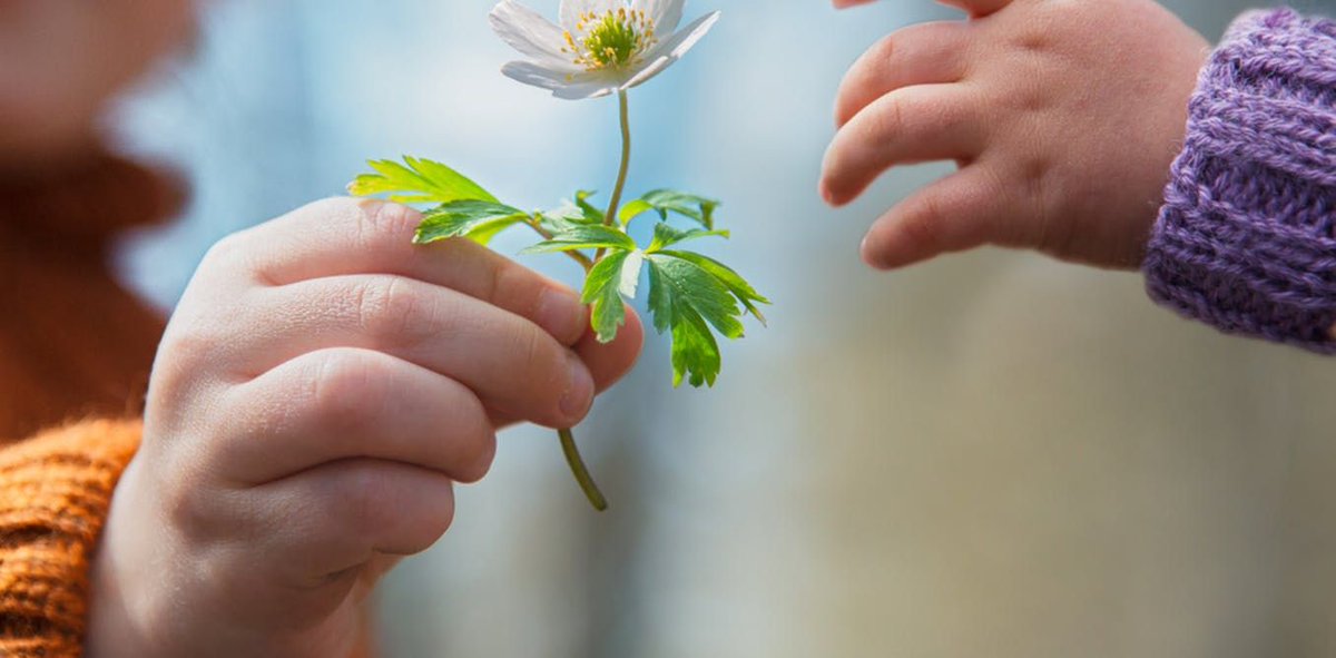 FreoFoundation's tweet image. 32% of our Named Funds are ‘family funds’ and given the benefits of engaging family members of all ages in philanthropy, it is no wonder why! 

It might just be the key to helping your children be happier, smarter &amp;amp; more successful.

buff.ly/2qzbRMI